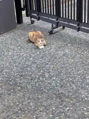 浄土宗南命山善光寺(東京都)