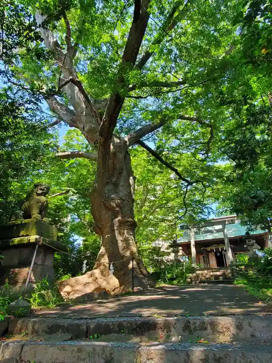 愛宕神社(福島県)