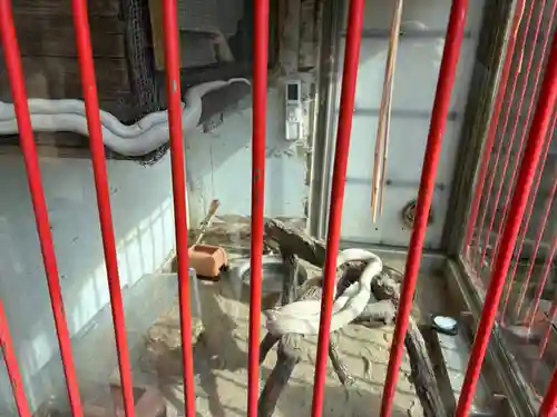 赤水蛇石神社(熊本県)