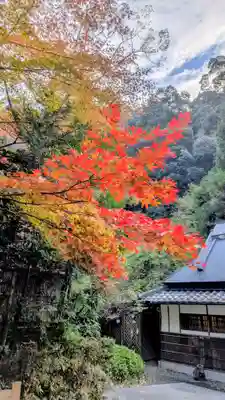 勝尾寺(大阪府)