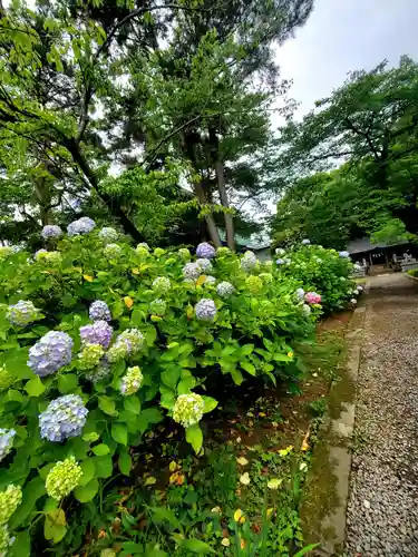 開成山大神宮(福島県)