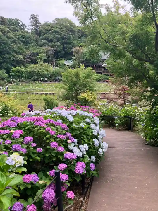 本土寺(千葉県)