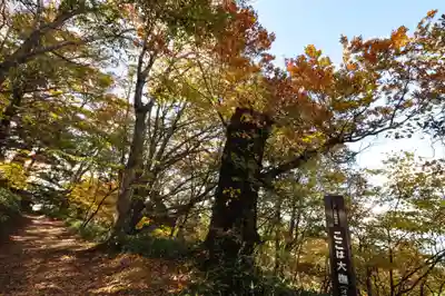 石鎚神社 中宮 成就社(愛媛県)