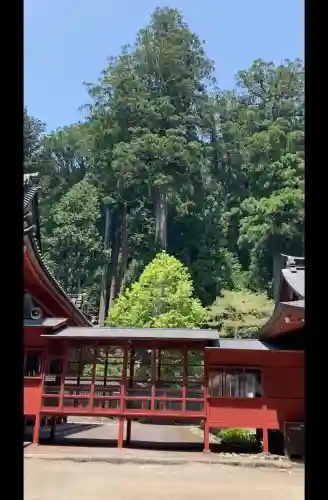 日光二荒山神社(栃木県)