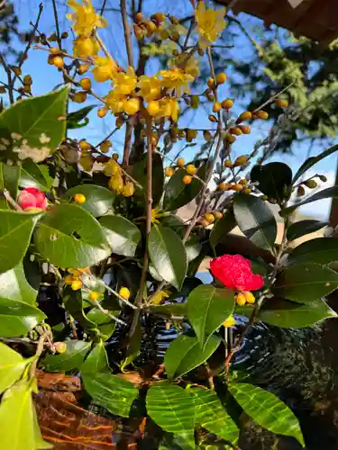 高司神社〜むすびの神の鎮まる社〜(福島県)