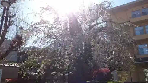 東本願寺(東京都)