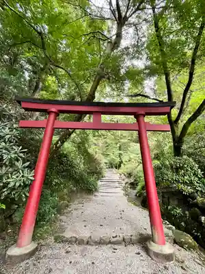 岡寺(龍蓋寺)(奈良県)