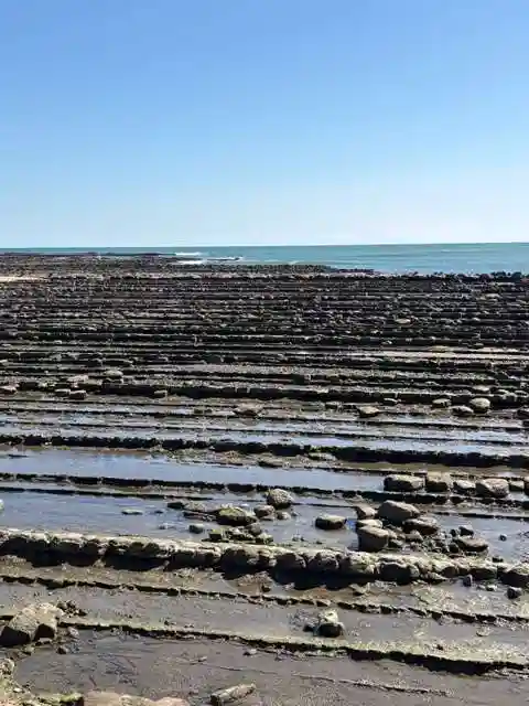 青島神社(青島神宮)(宮崎県)