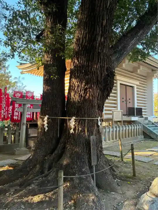 諏訪神社(東京都)