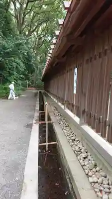 明治神宮の手水舎