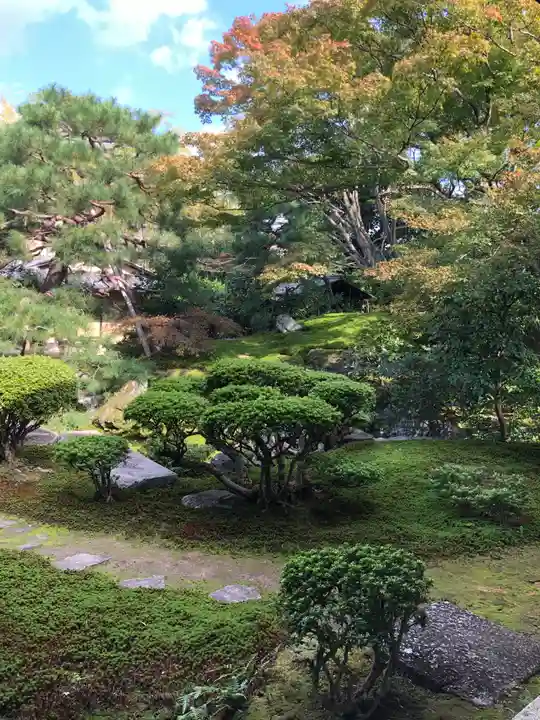宝鏡寺の庭園