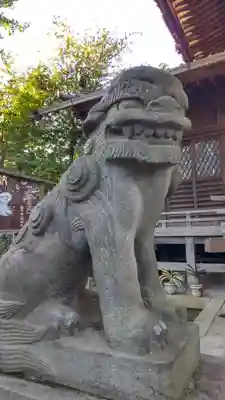 千束八幡神社の狛犬