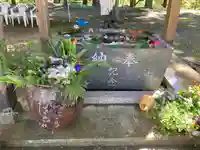 正一位 若草稲荷神社の手水舎