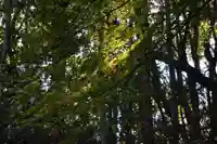 大鳥羽神社(山口県)