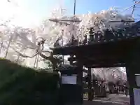 源空院(浅井寺)の山門・神門