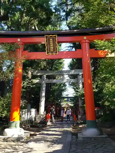 馬橋稲荷神社の鳥居