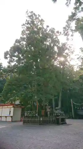 大神神社の自然