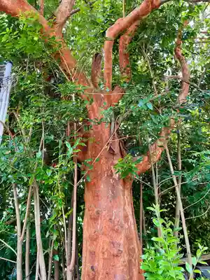 海蔵寺(神奈川県)