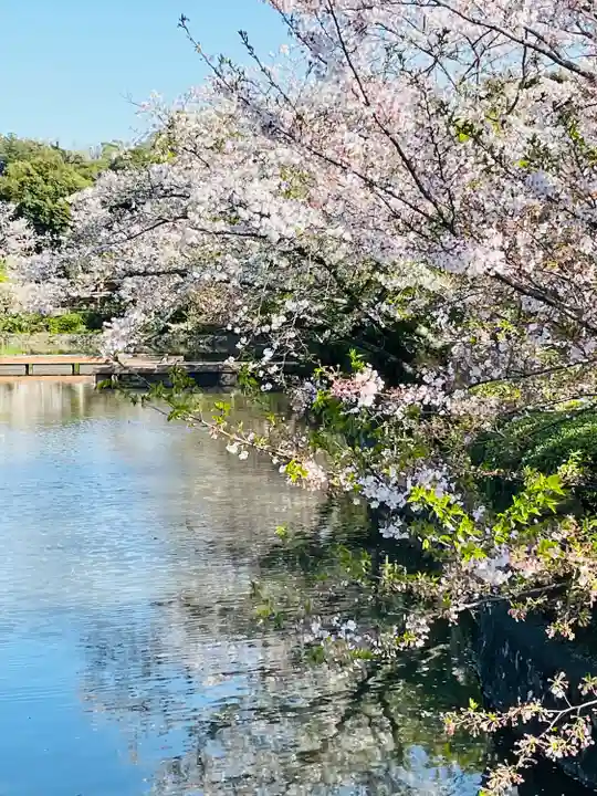 旗上弁財天社の自然