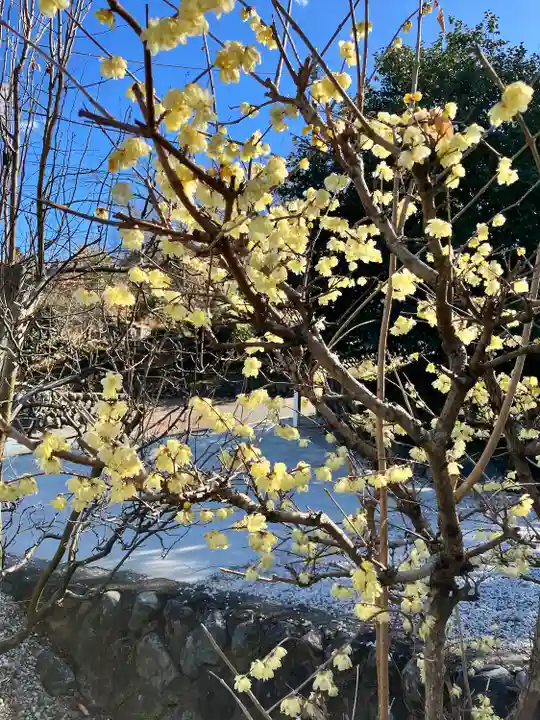 地蔵院(東京都)