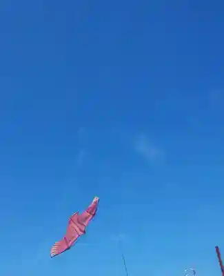 萩園神社の体験その他