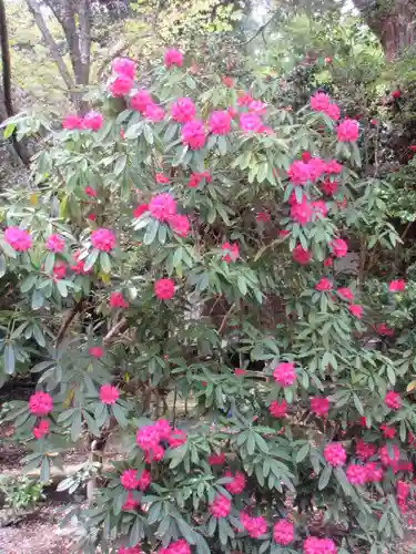 安國論寺（安国論寺）の自然