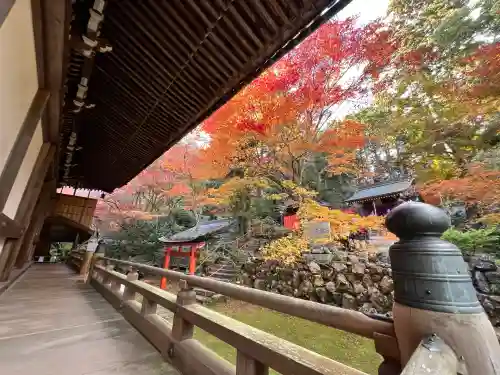 柳谷観音　楊谷寺(京都府)