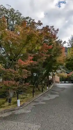 禅林寺（永観堂）(京都府)