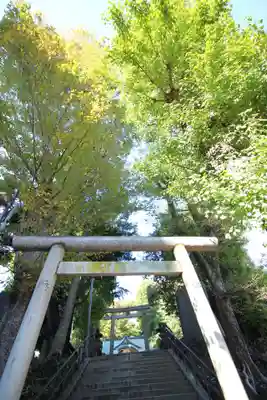 中野氷川神社の鳥居
