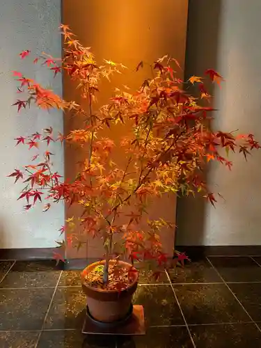 本法寺(京都府)