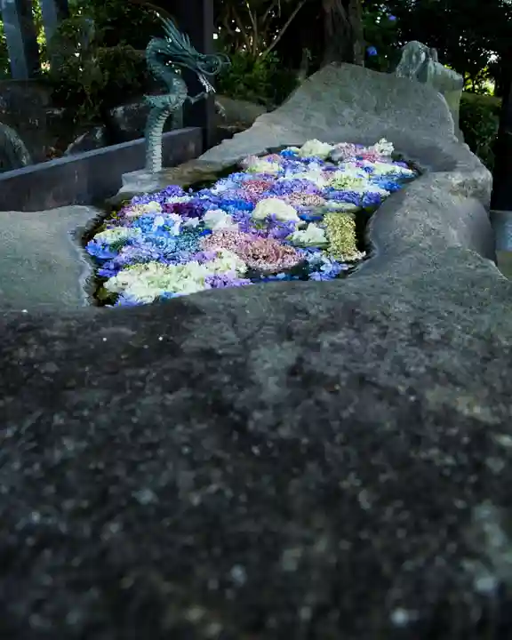 永光寺(牡丹不動尊) (茨城県)