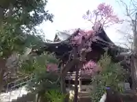 桜神宮の本殿・本堂