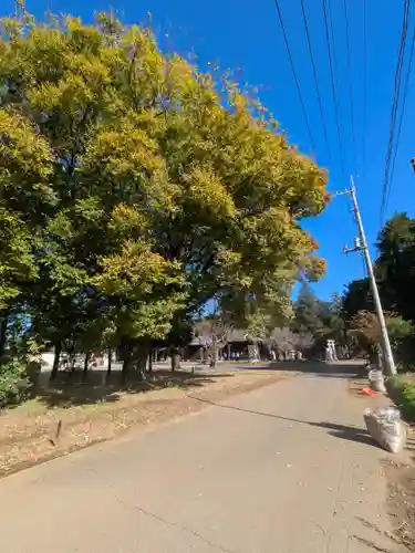 伏木香取神社(茨城県)