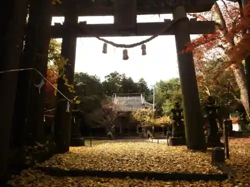 八幡宮(山口県)
