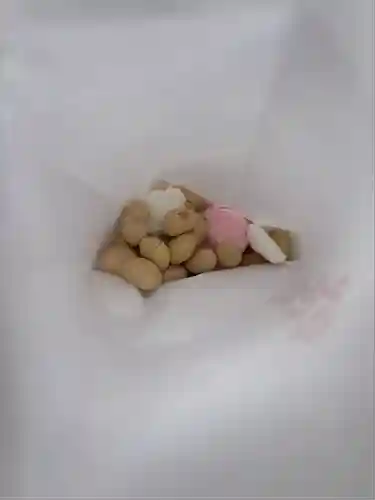 宝登山神社(埼玉県)