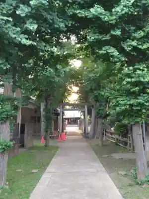 神明大神（中丸子神社）(神奈川県)