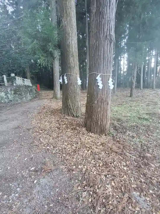 人丸神社(山形町)の自然