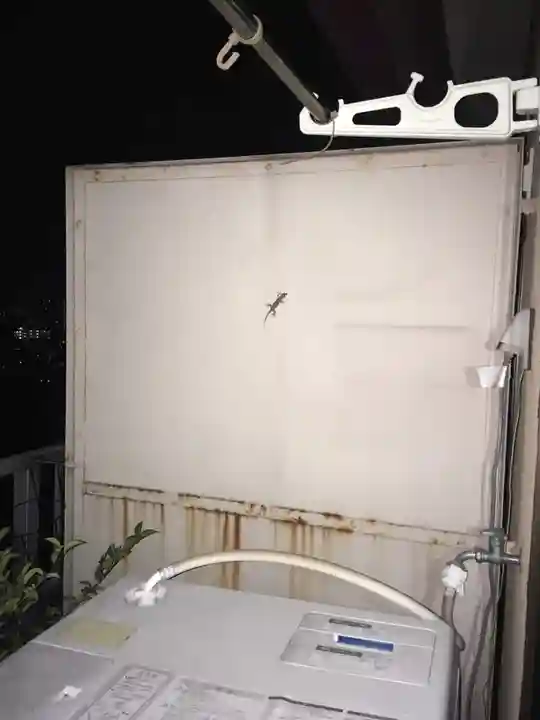 増上寺(東京都)