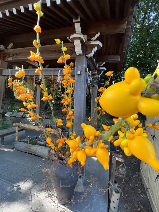 東海市熊野神社の手水舎
