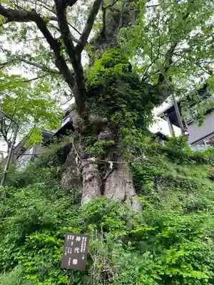 武蔵御嶽神社(東京都)