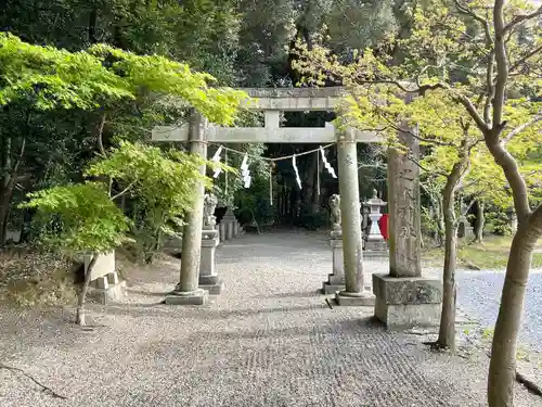 杉之木神社の鳥居