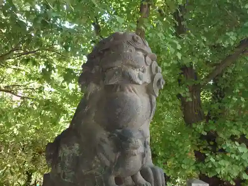 桐ヶ谷氷川神社の狛犬