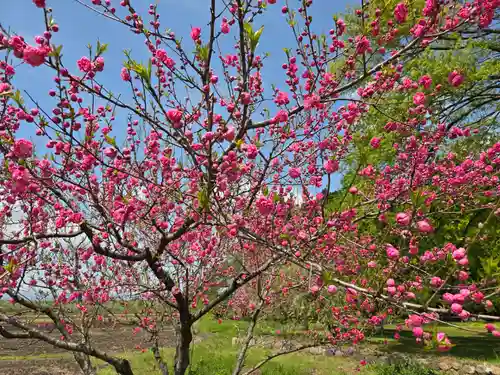 春日神社(山形県)