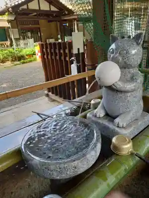 荻窪白山神社(東京都)