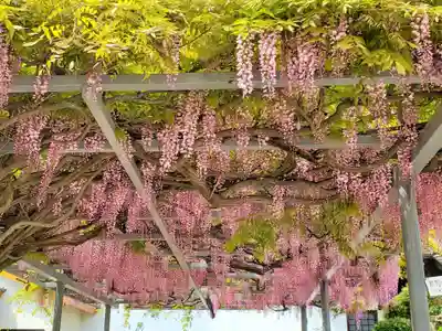難波熊野神社の自然