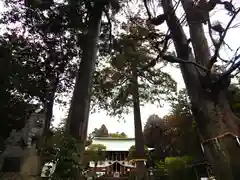 比々多神社(神奈川県)