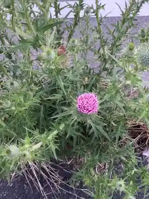 日輪寺(愛知県)
