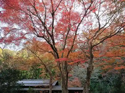 瑞泉寺の庭園