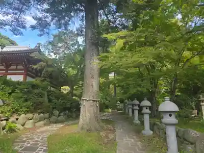 久安寺(大阪府)