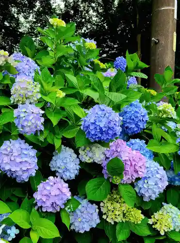 稲荷神社(愛知県)